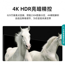 海信（Hisense）50H55E 50英寸 超高清 超薄 全面屏 智慧屏1.5G+8G 智能液晶电视机 企业采购（一价无忧）